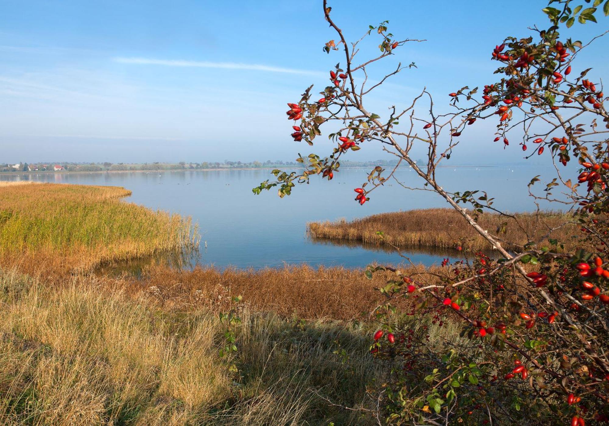Daenische Ferienhaeuser Am Salzhaff Haus Vogelparadies Остров Пёль Экстерьер фото